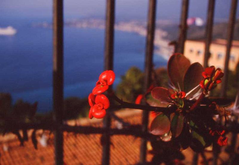 6-Taormina,12 aprile 1998.jpg